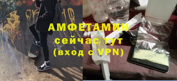 ALPHA PVP Каменка