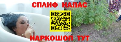 эйфоретик Бузулук