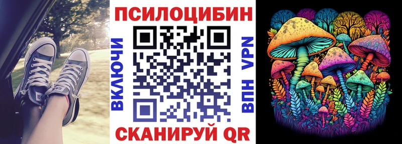 Псилоцибиновые грибы мицелий  наркотики  Ноябрьск 