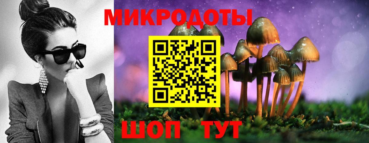 Псилоцибиновые грибы Psilocybine cubensis Ноябрьск